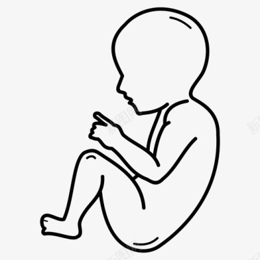 人胎7个月出生前胚胎图标图标