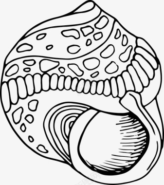 贝壳动物群海洋动物图标图标