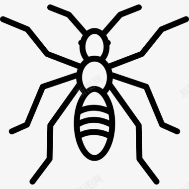 蚂蚁动物昆虫图标图标