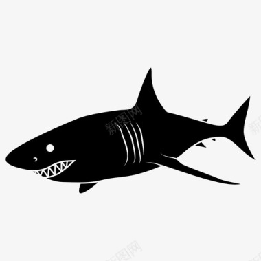 鲨鱼动物鱼图标图标