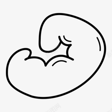 人胎1个月出生前胚胎图标图标