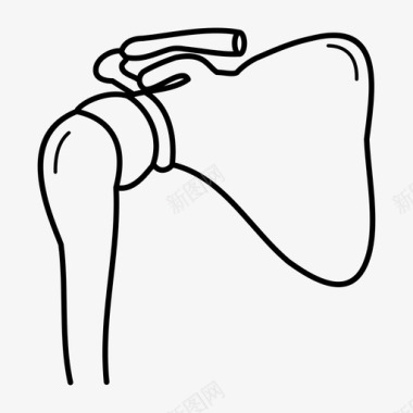 肩关节人体解剖学图标图标