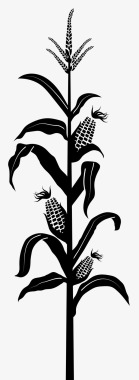 玉米玉米秸秆自然图标图标