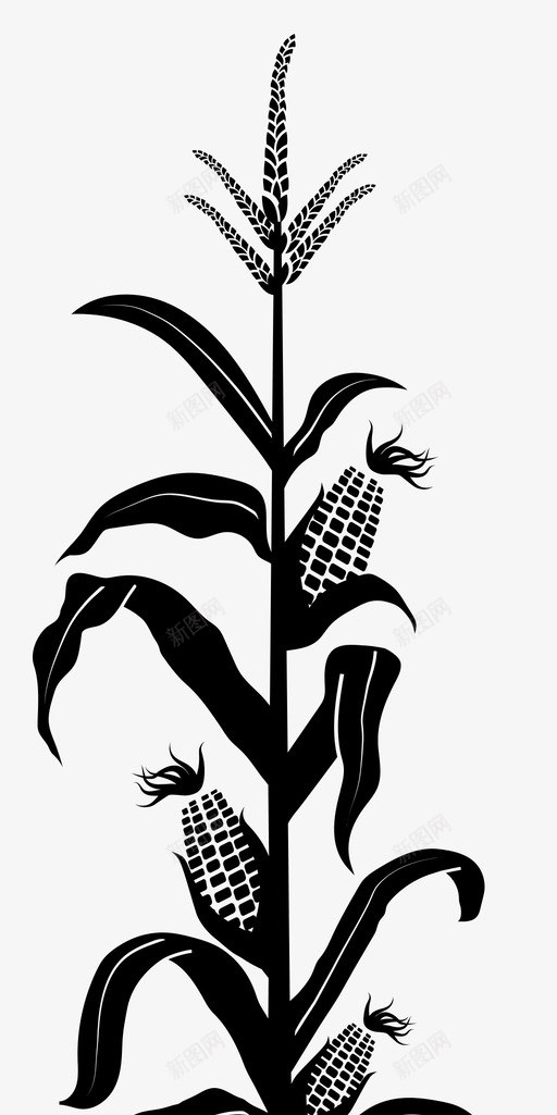 玉米玉米秸秆自然图标svg_新图网 https://ixintu.com 植物 玉米 玉米秸秆 自然 蔬菜