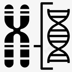 染色图标染色体dna基因图标高清图片