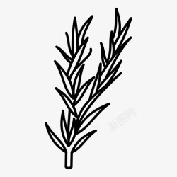 原料图标迷迭香芳香草本植物烹饪原料图标高清图片