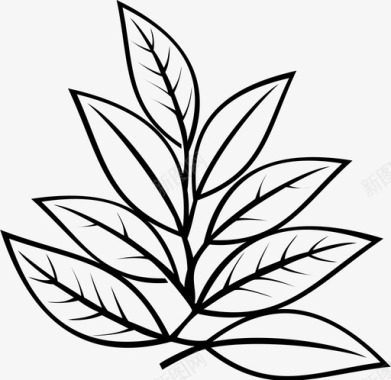 叶子草本植物自然图标图标