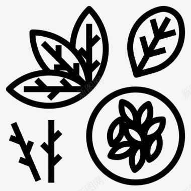 草本植物叶子自然图标图标