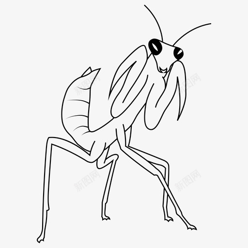 螳螂动物昆虫图标svg_新图网 https://ixintu.com 动物 昆虫 自然 螳螂