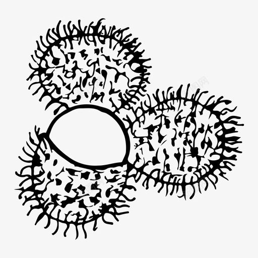 红毛丹水果手绘图标svg_新图网 https://ixintu.com 卡通红毛丹 手绘 水果 泰国 素描 红毛丹