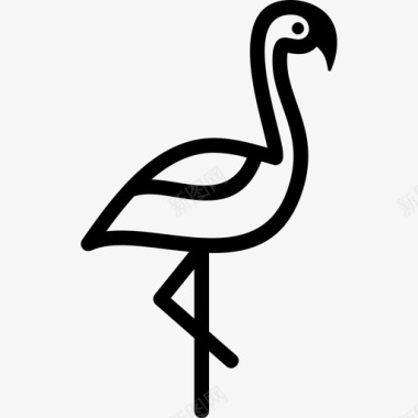 火烈鸟美国鸟图标图标