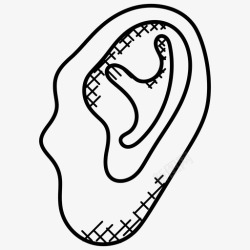 耳科人耳听觉人体器官图标高清图片