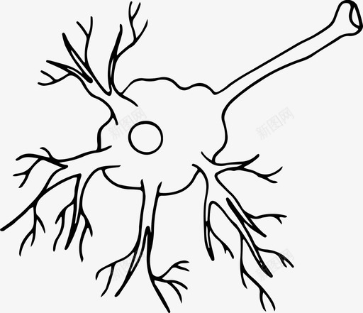 神经元生物学教育图标svg_新图网 https://ixintu.com 学习 学校 教育 生物学 神经元 神经学 科学