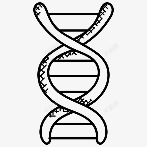 dna结构生物技术遗传细胞图标svg_新图网 https://ixintu.com dna结构 医学科学 生物技术 科幻涂鸦图标 螺旋 遗传细胞