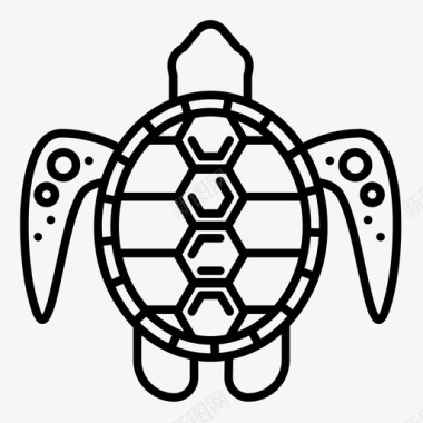 海龟动物海洋图标图标