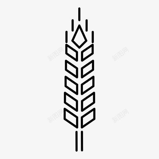 小麦穗农业有机小麦图标svg_新图网 https://ixintu.com 农业 小麦穗 有机小麦