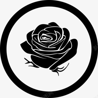 玫瑰美丽新鲜图标图标