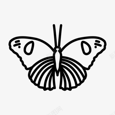 蝴蝶昆虫蛾子图标图标