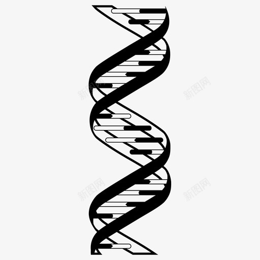 dna酸脱氧核糖核酸图标svg_新图网 https://ixintu.com dna 双 脱氧核糖核酸 螺旋 遗传学 酸