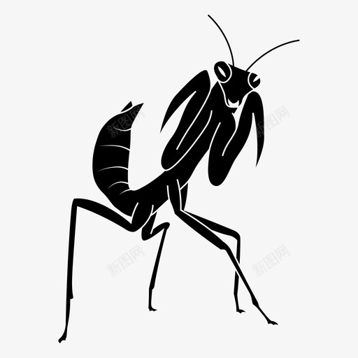 螳螂动物昆虫图标svg_新图网 https://ixintu.com 动物 昆虫 自然 螳螂
