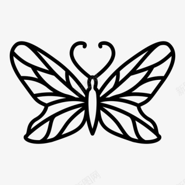 蝴蝶昆虫蛾子图标图标