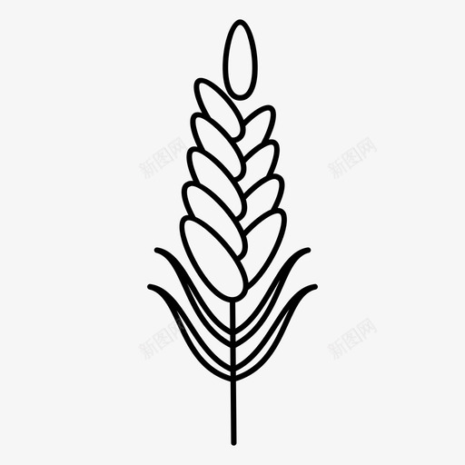 小麦穗天然食用有机小麦图标svg_新图网 https://ixintu.com 天然食用 小麦穗 有机小麦