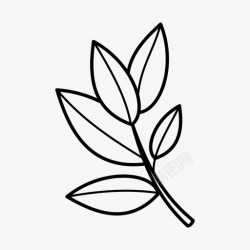 原料标志月桂芳香草本植物烹饪原料图标高清图片