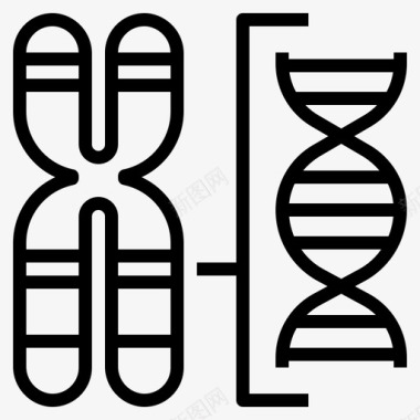 染色体dna基因图标图标