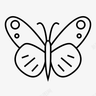 蝴蝶花园昆虫飞蛾图标图标