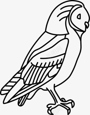 谷仓猫头鹰鸟羽毛图标图标