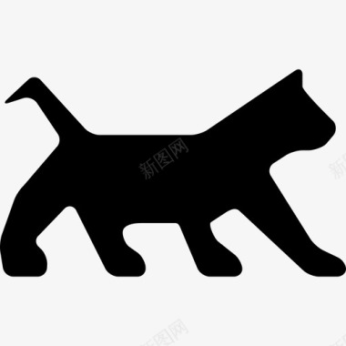 猫朝右动物动物的轮廓图标图标