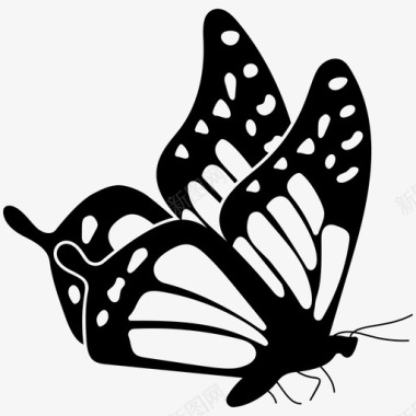 蝴蝶花园昆虫图标图标