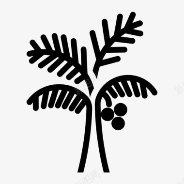 椰子树槟榔科热带图标图标