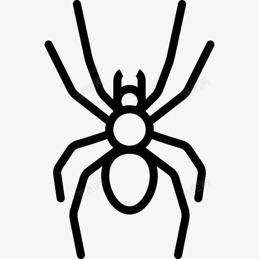 大蜘蛛动物群线状图标svg_新图网 https://ixintu.com 动物群 大蜘蛛 线状
