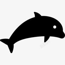 宽吻海豚宽吻海豚灰鲈图标高清图片