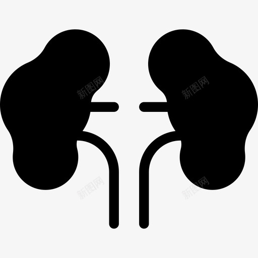 两个肾医学解剖学图标svg_新图网 https://ixintu.com 两个肾 医学 解剖学