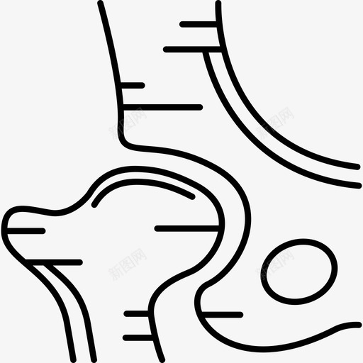 髋骨人体部位黑色图标svg_新图网 https://ixintu.com 人体部位 髋骨 黑色