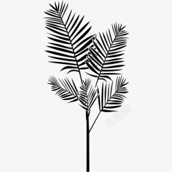 矢量锯棕榈树叶图标棕榈树叶天然图标高清图片