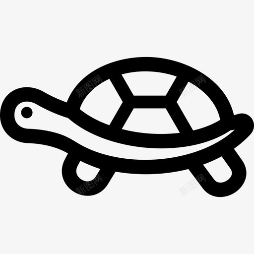 海龟盒子绿色图标svg_新图网 https://ixintu.com 海洋 海龟 爬行动物 爬行动物和两栖动物轮廓 盒子 绿色 陆地