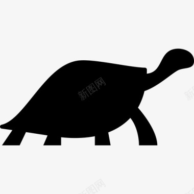 乌龟面朝右动物动物的轮廓图标图标