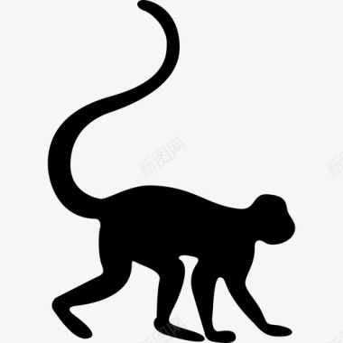 猴子面朝右箭头动物的轮廓图标图标