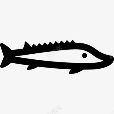 鲟鱼白鲸侏儒图标图标
