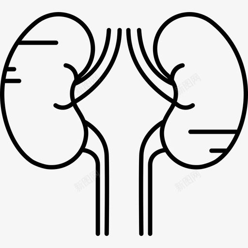 两个肾人体部分黑色图标svg_新图网 https://ixintu.com 两个肾 人体部分 黑色