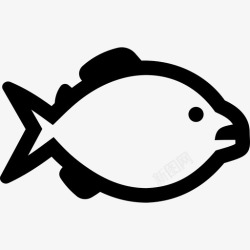 红腹灰雀PNG矢量图食人鱼鱼金色图标高清图片