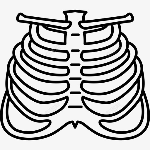 人体肋骨人体部位黑色图标svg_新图网 https://ixintu.com 人体肋骨 人体部位 胸骨 黑色