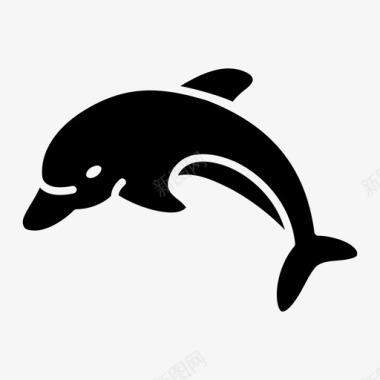 海豚动物鱼图标图标