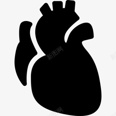解剖学心脏解剖学图标图标