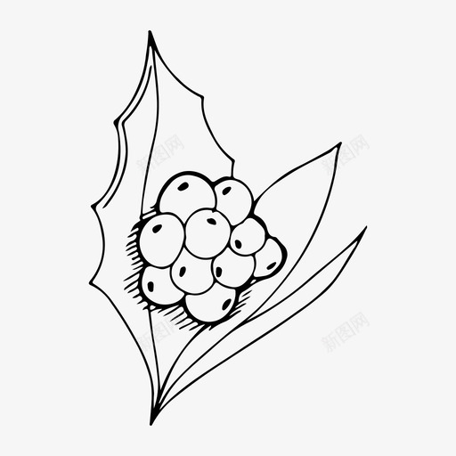植物浆果涂鸦图标svg_新图网 https://ixintu.com 手绘 植物 浆果 涂鸦 素描