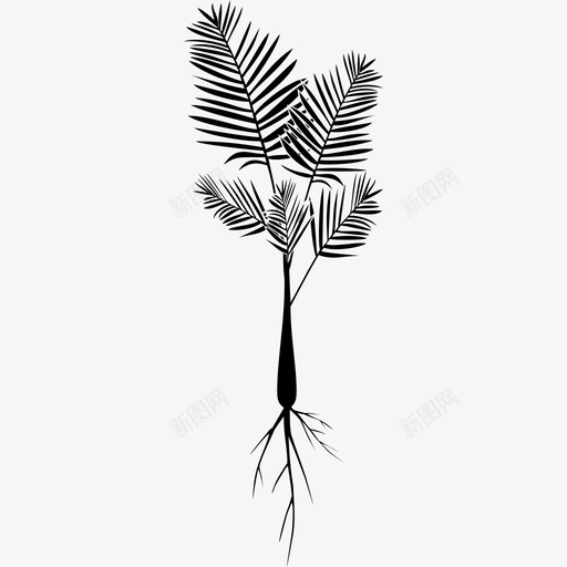 植物叶子天然图标svg_新图网 https://ixintu.com 叶子 天然 棕榈 棕榈树 植物