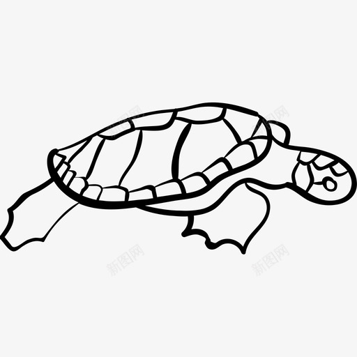 爬行动物动物手绘图标svg_新图网 https://ixintu.com 动物 手绘 海 海底 海龟 爬行动物